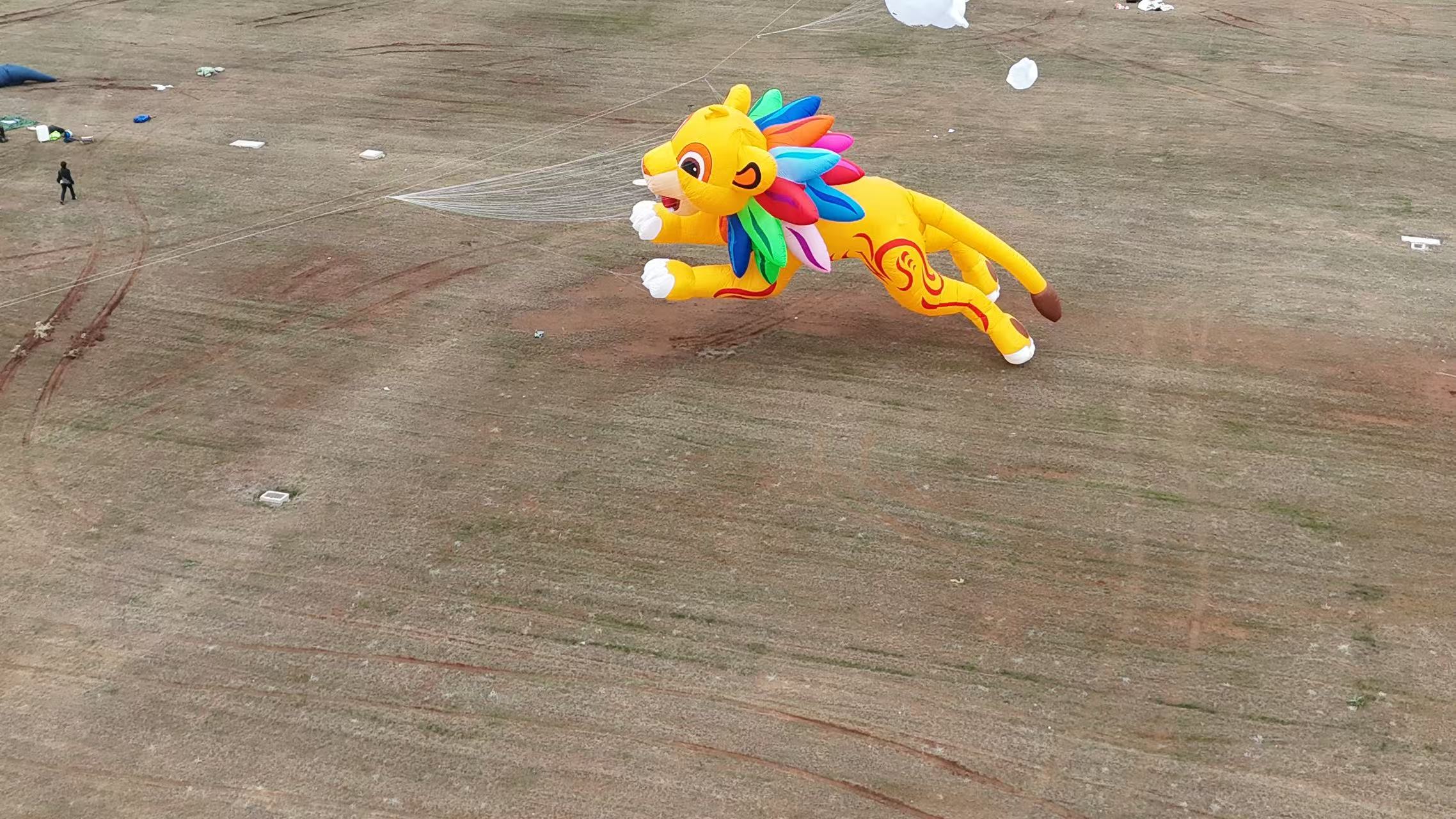 潍坊市品牌风筝定制风筝放飞活动策划 - 一站式服务